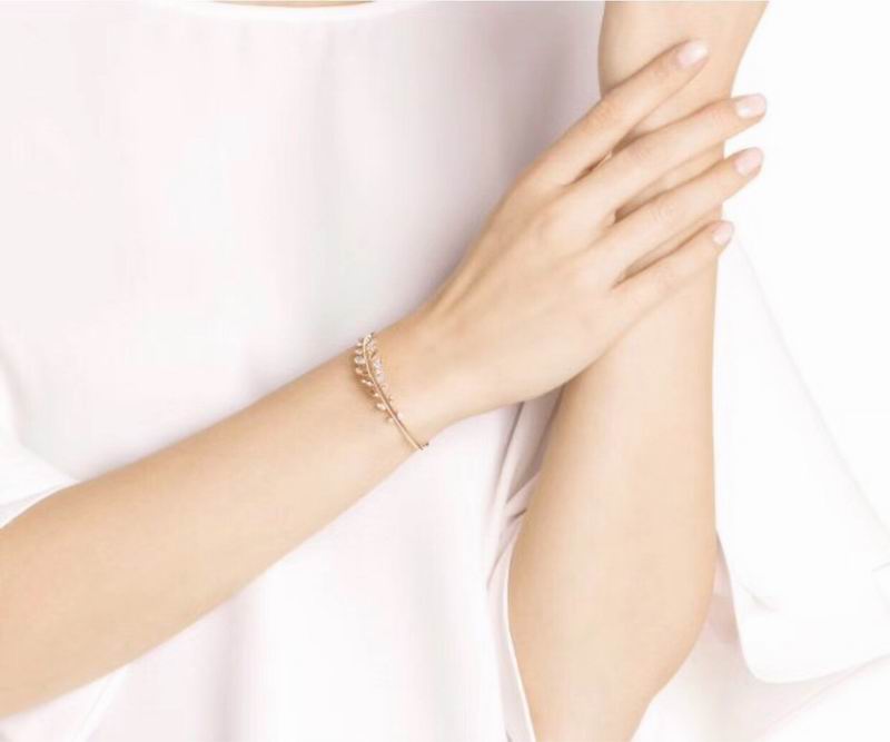 Swarovski Bracelet 05lyx107 (8)